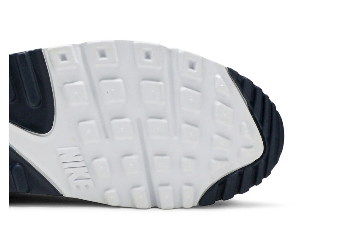 Nike Air Max 90 Essential 'Michigan' AJ1285-101